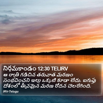 నిర్గమకాండం 12:30 TELIRV Bible Verse Image