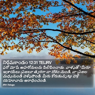 నిర్గమకాండం 12:31 TELIRV Bible Verse Image