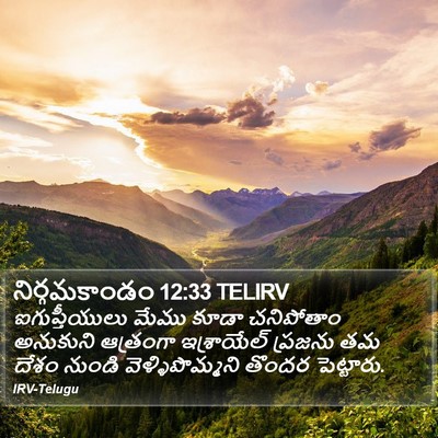 నిర్గమకాండం 12:33 TELIRV Bible Verse Image