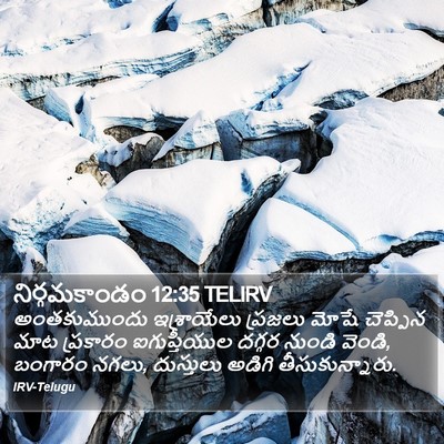 నిర్గమకాండం 12:35 TELIRV Bible Verse Image