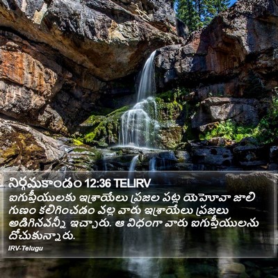 నిర్గమకాండం 12:36 TELIRV Bible Verse Image