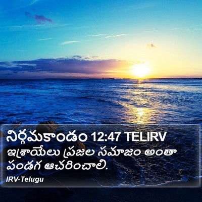 నిర్గమకాండం 12:47 TELIRV Bible Verse Image