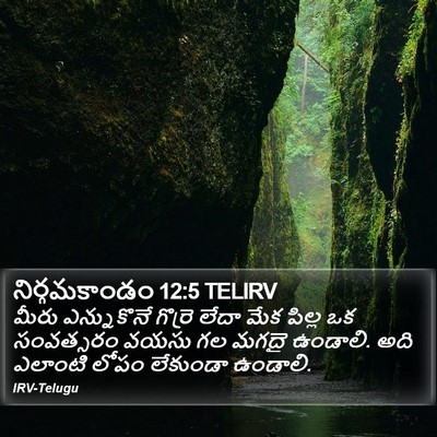 నిర్గమకాండం 12:5 TELIRV Bible Verse Image