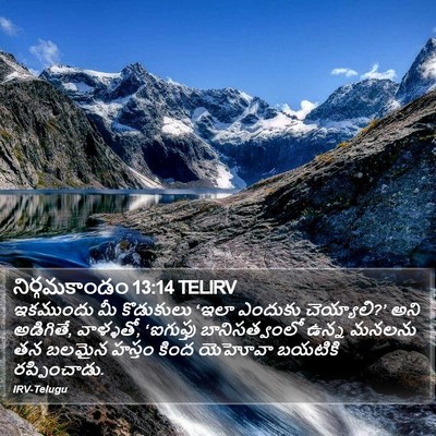 నిర్గమకాండం 13:14 TELIRV Bible Verse Image