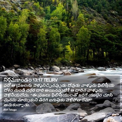 నిర్గమకాండం 13:17 TELIRV Bible Verse Image