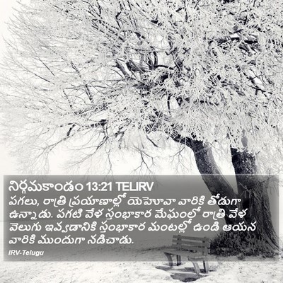 నిర్గమకాండం 13:21 TELIRV Bible Verse Image