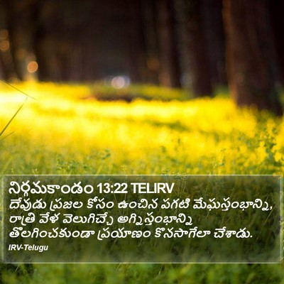 నిర్గమకాండం 13:22 TELIRV Bible Verse Image