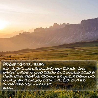 నిర్గమకాండం 13:3 TELIRV Bible Verse Image