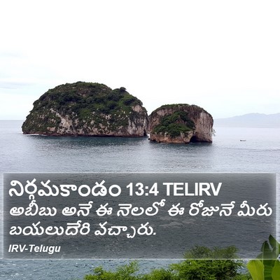 నిర్గమకాండం 13:4 TELIRV Bible Verse Image