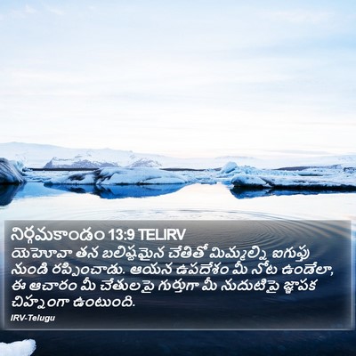 నిర్గమకాండం 13:9 TELIRV Bible Verse Image