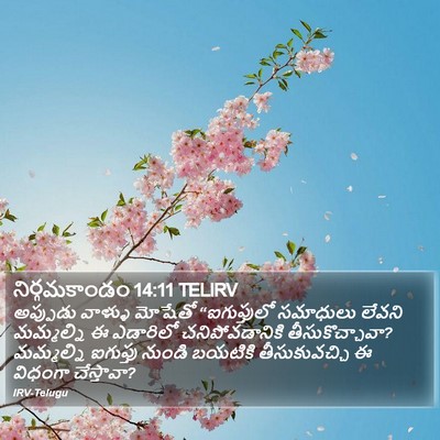నిర్గమకాండం 14:11 TELIRV Bible Verse Image