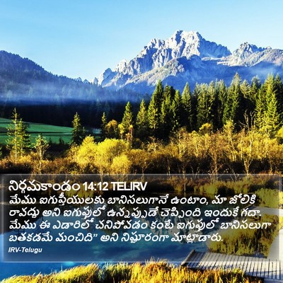 నిర్గమకాండం 14:12 TELIRV Bible Verse Image
