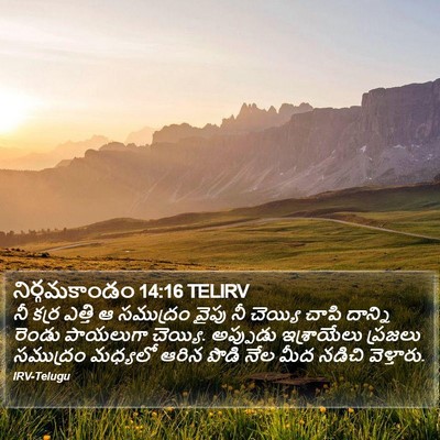 నిర్గమకాండం 14:16 TELIRV Bible Verse Image