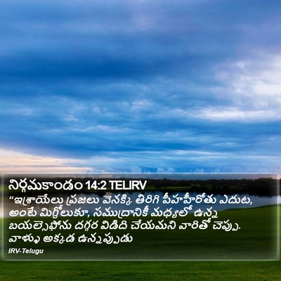 నిర్గమకాండం 14:2 TELIRV Bible Verse Image