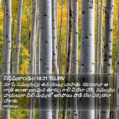 నిర్గమకాండం 14:21 TELIRV Bible Verse Image
