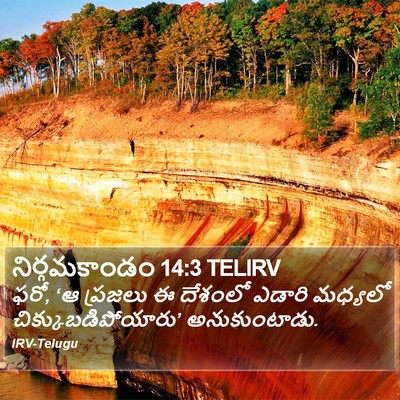 నిర్గమకాండం 14:3 TELIRV Bible Verse Image