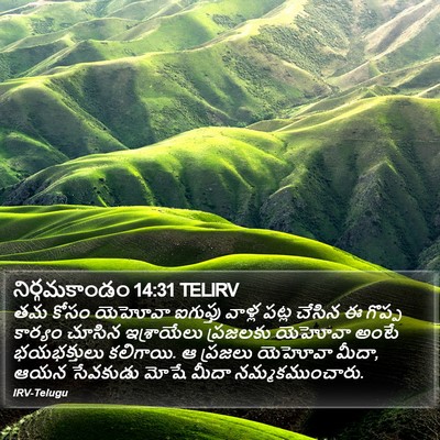 నిర్గమకాండం 14:31 TELIRV Bible Verse Image