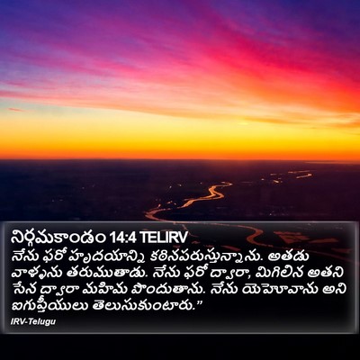 నిర్గమకాండం 14:4 TELIRV Bible Verse Image