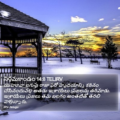 నిర్గమకాండం 14:8 TELIRV Bible Verse Image