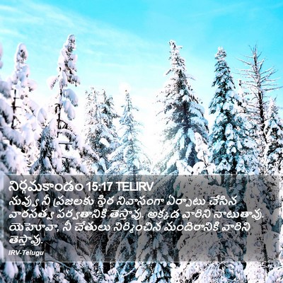నిర్గమకాండం 15:17 TELIRV Bible Verse Image