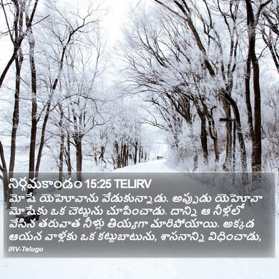 నిర్గమకాండం 15:25 TELIRV Bible Verse Image