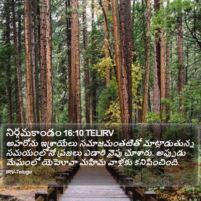 నిర్గమకాండం 16:10 TELIRV Bible Verse Image