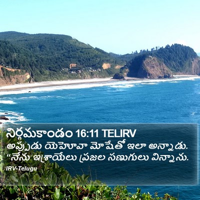 నిర్గమకాండం 16:11 TELIRV Bible Verse Image