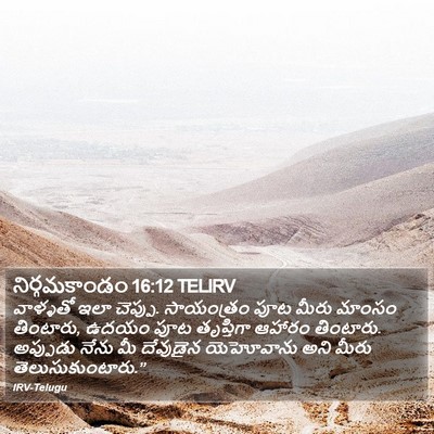 నిర్గమకాండం 16:12 TELIRV Bible Verse Image