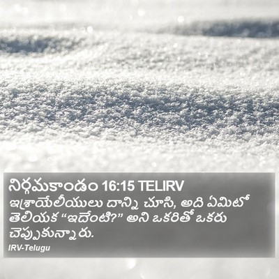 నిర్గమకాండం 16:15 TELIRV Bible Verse Image
