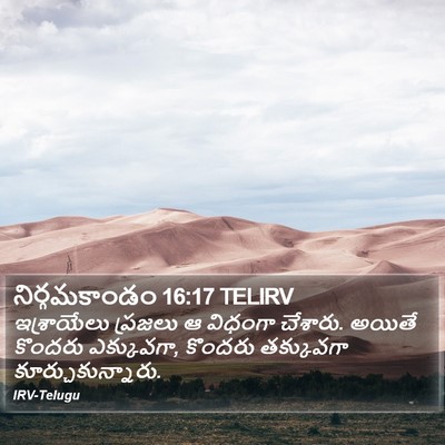 నిర్గమకాండం 16:17 TELIRV Bible Verse Image