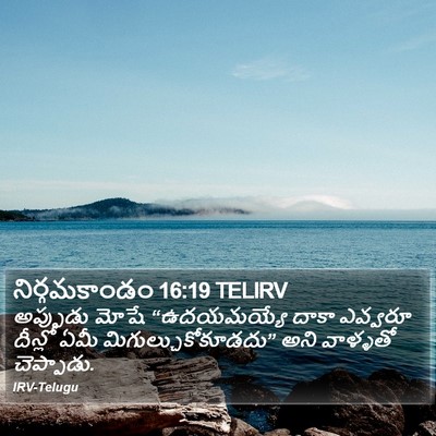 నిర్గమకాండం 16:19 TELIRV Bible Verse Image