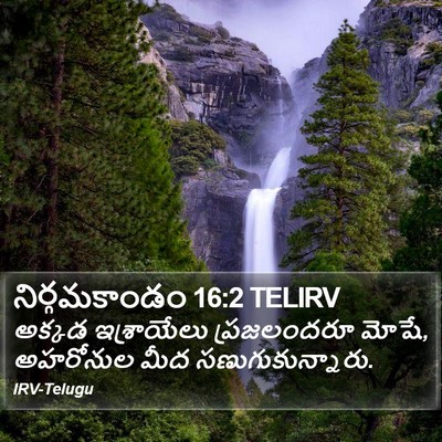 నిర్గమకాండం 16:2 TELIRV Bible Verse Image