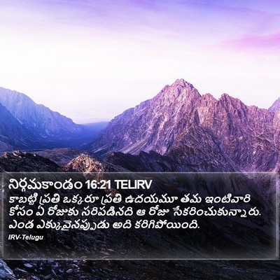 నిర్గమకాండం 16:21 TELIRV Bible Verse Image