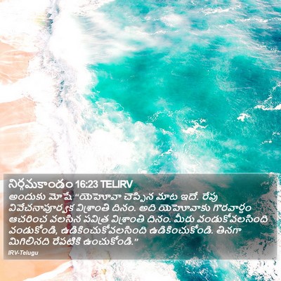 నిర్గమకాండం 16:23 TELIRV Bible Verse Image