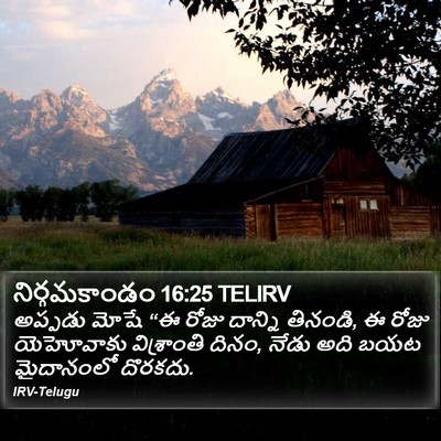 నిర్గమకాండం 16:25 TELIRV Bible Verse Image