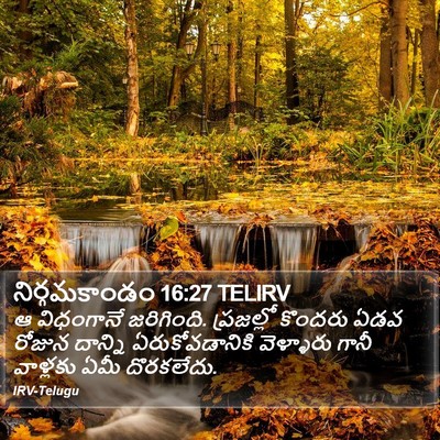 నిర్గమకాండం 16:27 TELIRV Bible Verse Image