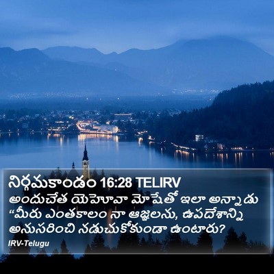 నిర్గమకాండం 16:28 TELIRV Bible Verse Image