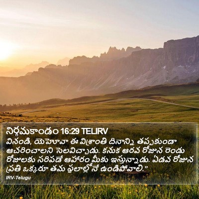 నిర్గమకాండం 16:29 TELIRV Bible Verse Image
