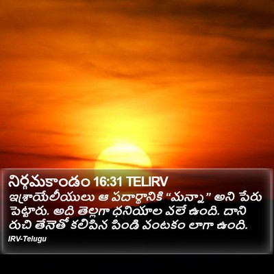 నిర్గమకాండం 16:31 TELIRV Bible Verse Image