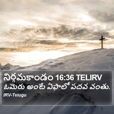 నిర్గమకాండం 16:36 TELIRV Bible Verse Image