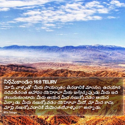 నిర్గమకాండం 16:8 TELIRV Bible Verse Image