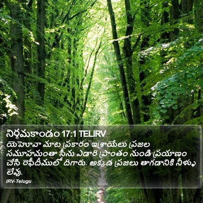 నిర్గమకాండం 17:1 TELIRV Bible Verse Image