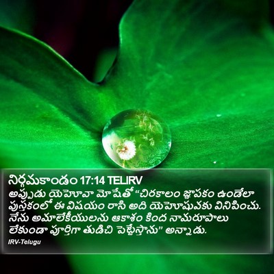 నిర్గమకాండం 17:14 TELIRV Bible Verse Image