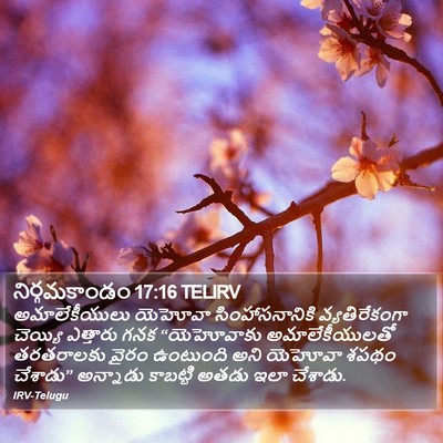 నిర్గమకాండం 17:16 TELIRV Bible Verse Image