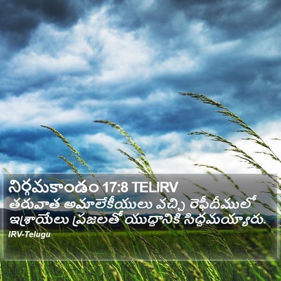 నిర్గమకాండం 17:8 TELIRV Bible Verse Image