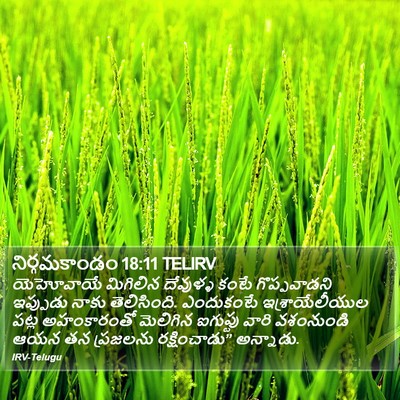 నిర్గమకాండం 18:11 TELIRV Bible Verse Image