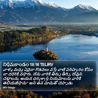 నిర్గమకాండం 18:16 TELIRV Bible Verse Image