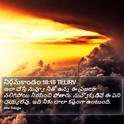 నిర్గమకాండం 18:18 TELIRV Bible Verse Image