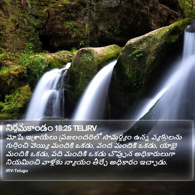 నిర్గమకాండం 18:25 TELIRV Bible Verse Image