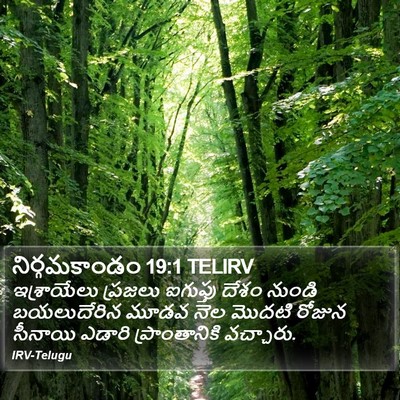 నిర్గమకాండం 19:1 TELIRV Bible Verse Image